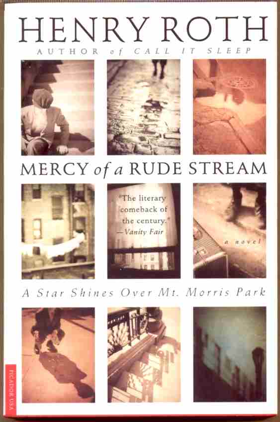 Image for MERCY OF A RUDE STREAM A Star Shines over Mt. Morris Park