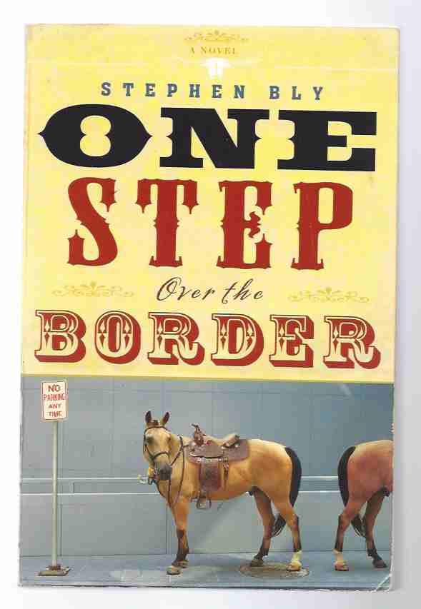 Image for ONE STEP OVER THE BORDER A Novel