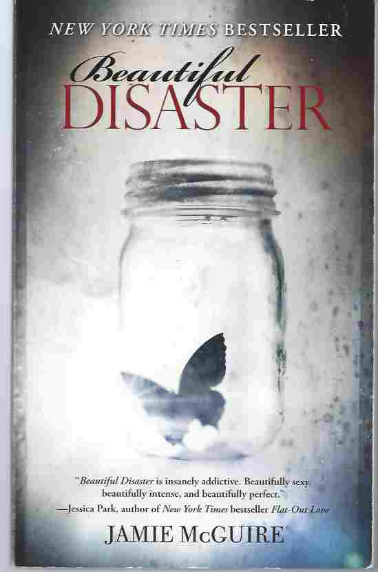 Image for BEAUTIFUL DISASTER A Novel