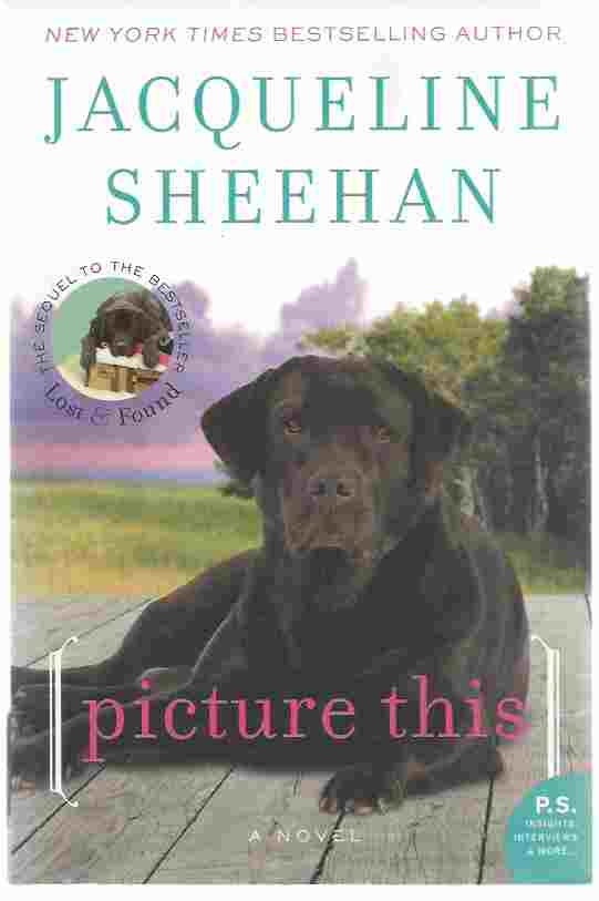Image for PICTURE THIS A Novel