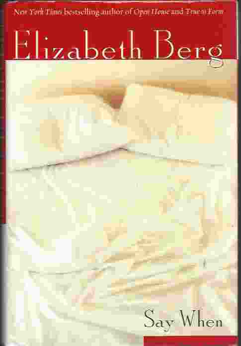 Image for SAY WHEN A Novel