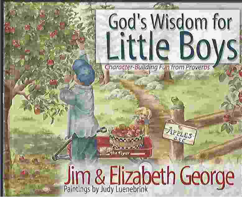 Image for GOD'S WISDOM FOR LITTLE BOYS Character-Building Fun from Proverbs