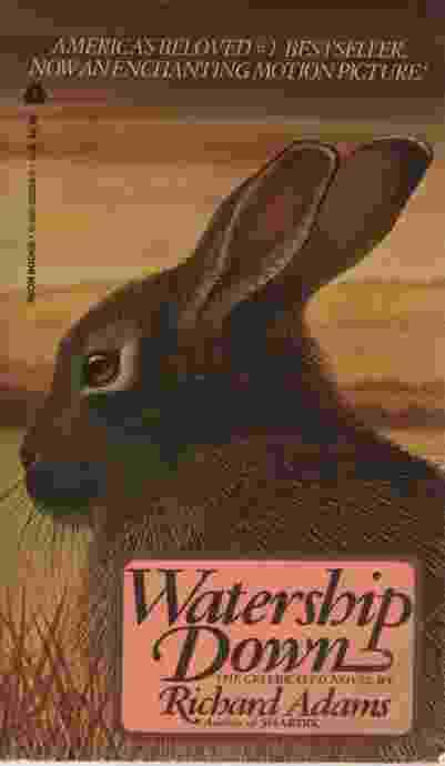WATERSHIP DOWN Image for WATERSHIP DOWN