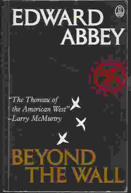 Image for BEYOND THE WALL Essays from the Outside