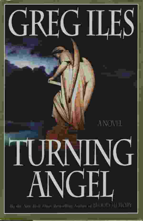 Image for TURNING ANGEL A Novel