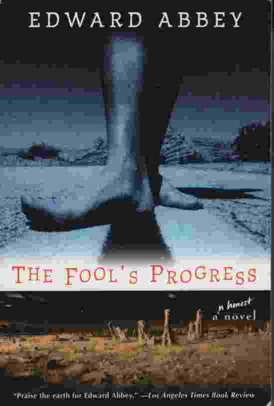 THE FOOL'S PROGRESS An Honest Novel Image for THE FOOL'S PROGRESS An Honest Novel