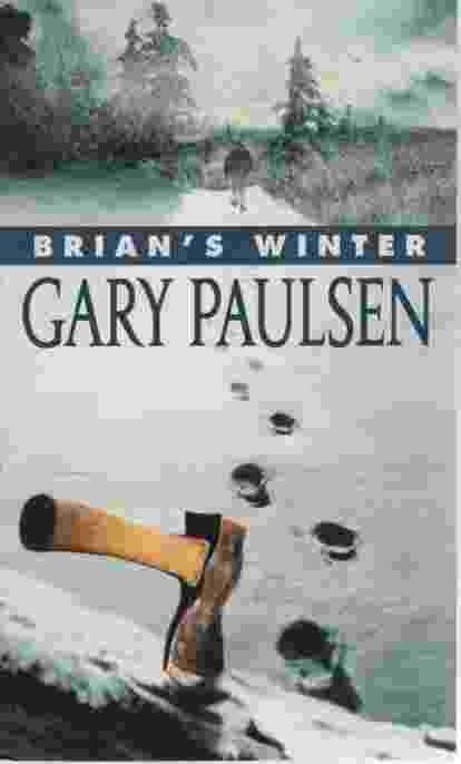 Image for BRIAN'S WINTER
