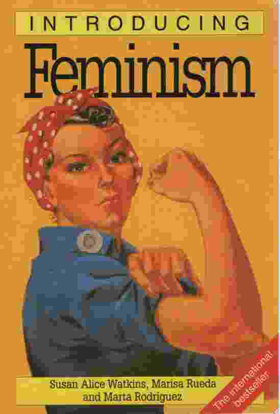 Image for INTRODUCING FEMINISM