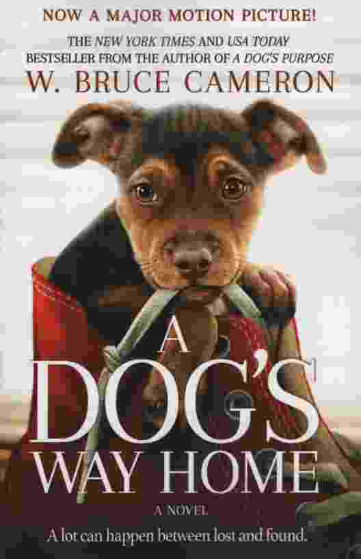 Image for A DOG'S WAY HOME