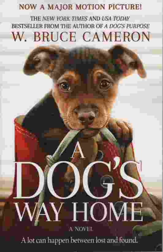 Image for A DOG'S WAY HOME