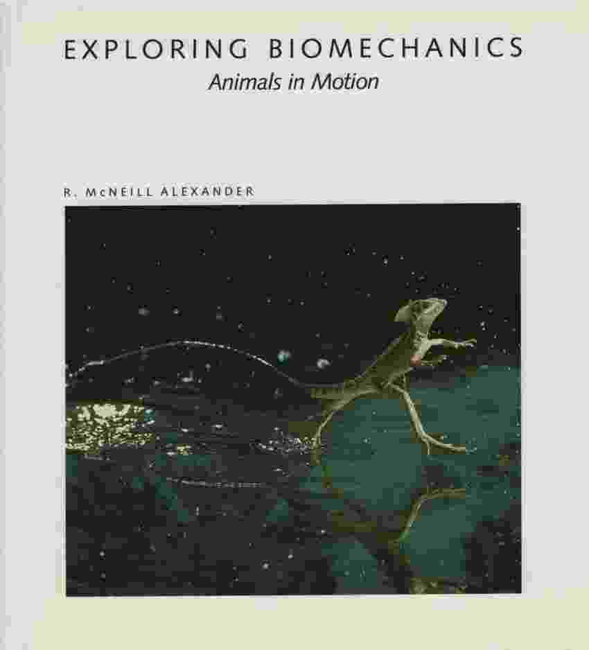Image for EXPLORING BIOMECHANICS