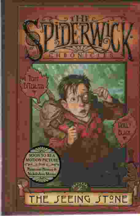 Image for THE SEEING STONE