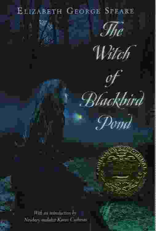 Image for THE WITCH OF BLACKBIRD POND