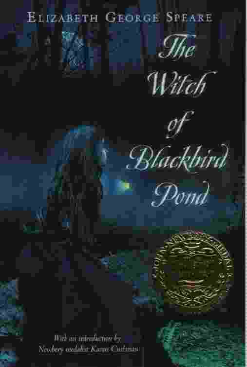 Image for THE WITCH OF BLACKBIRD POND
