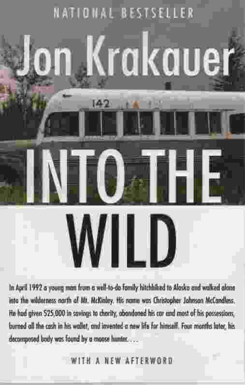 Image for INTO THE WILD