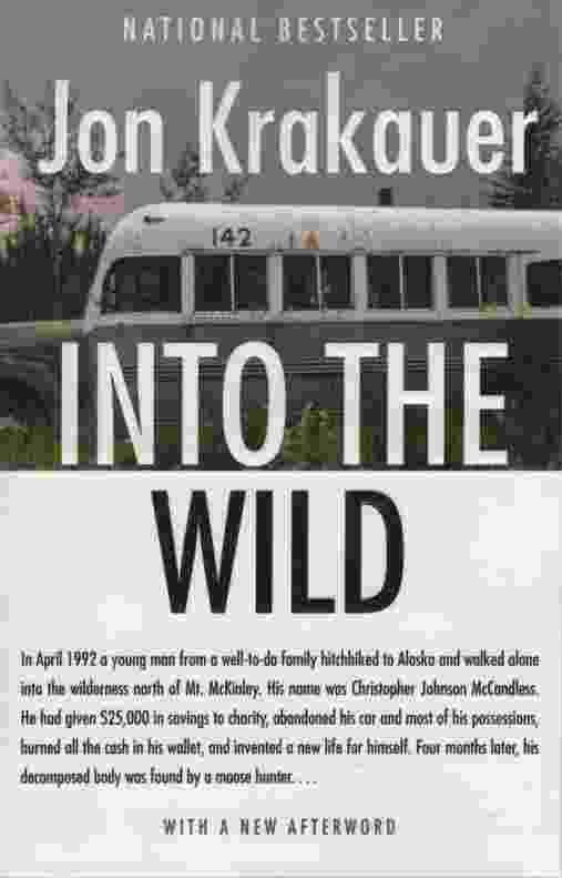 Image for INTO THE WILD