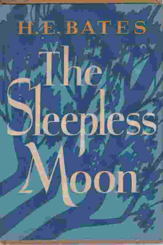 Image for THE SLEEPLESS MOON
