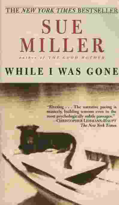 Image for WHILE I WAS GONE