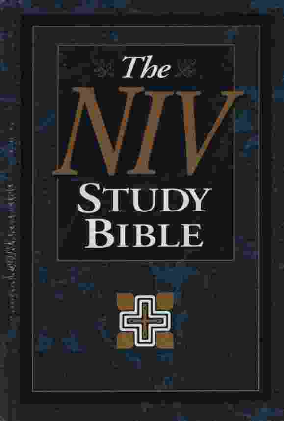 Image for THE NIV STUDY BIBLE