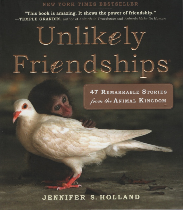 Image for UNLIKELY FRIENDSHIPS 47 Remarkable Stories from the Animal Kingdom