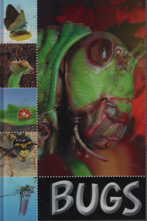 Image for BUGS