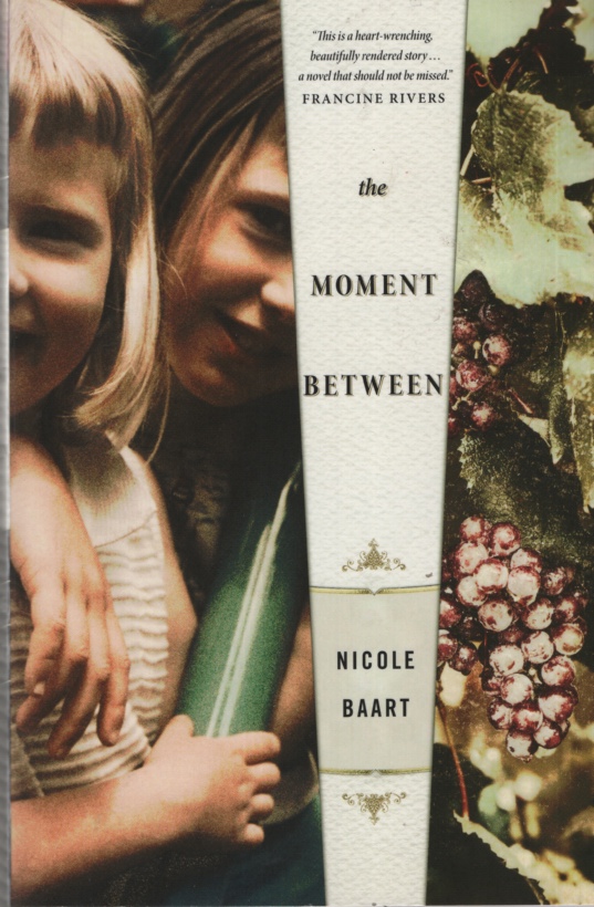 Image for THE MOMENT BETWEEN