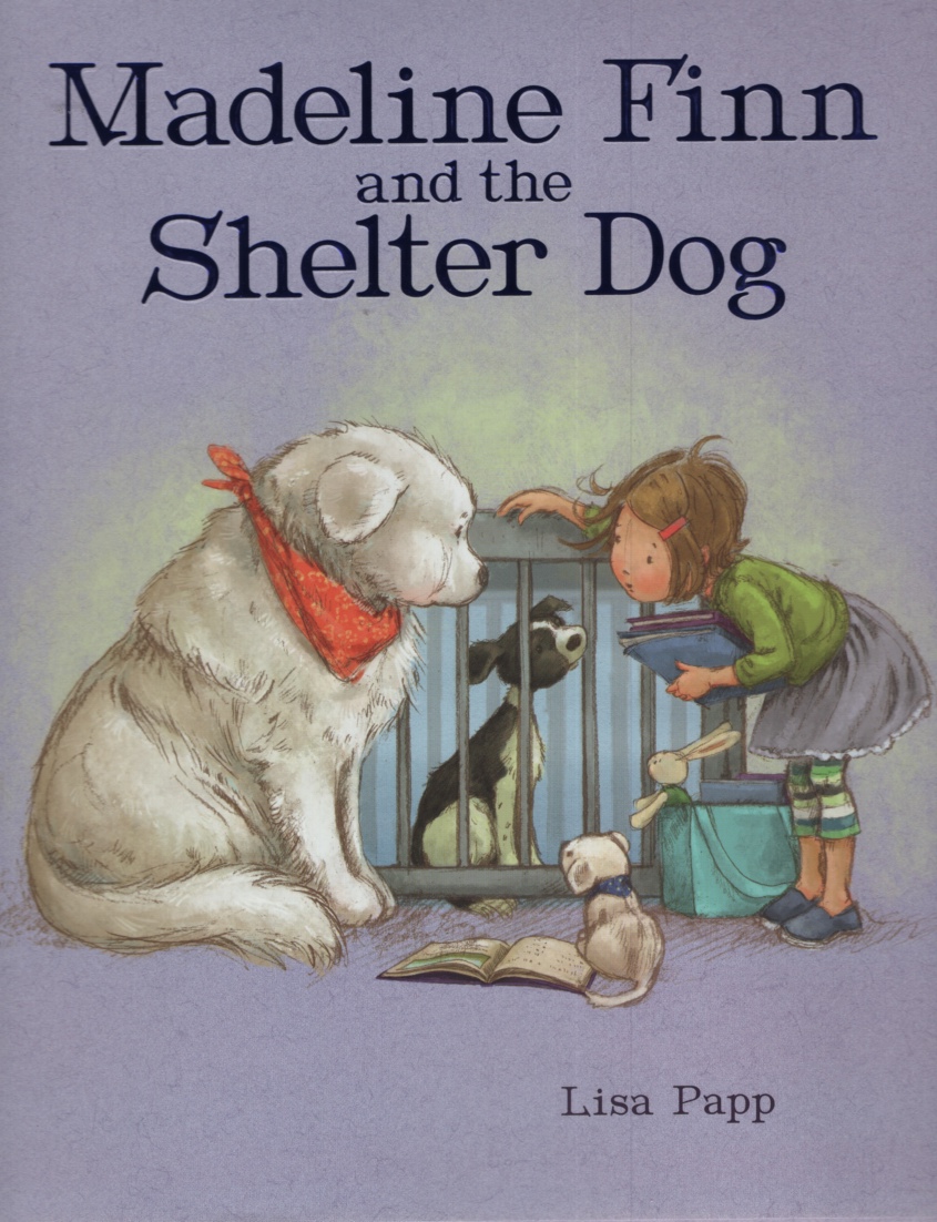 Image for MADELINE FINN AND THE SHELTER DOG