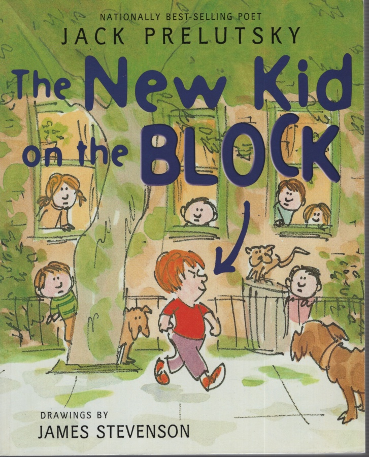Image for THE NEW KID ON THE BLOCK