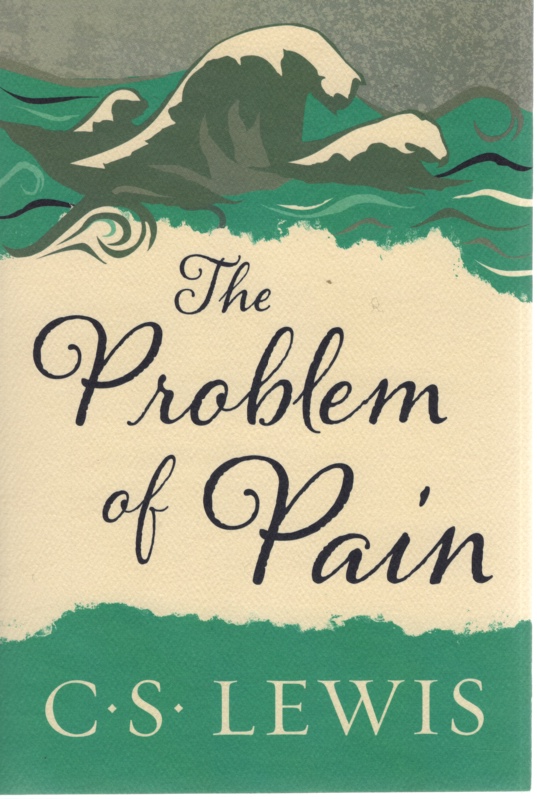 Image for THE PROBLEM OF PAIN