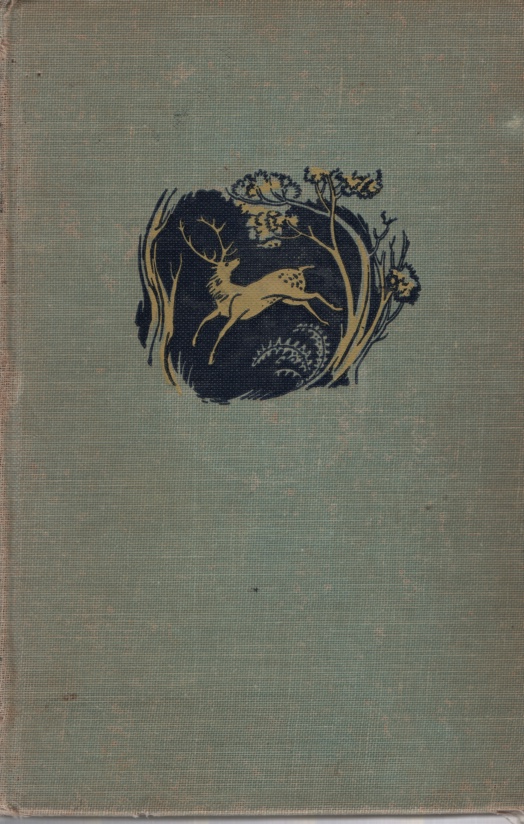 Image for THE LION, THE WITCH & THE WARDROBE