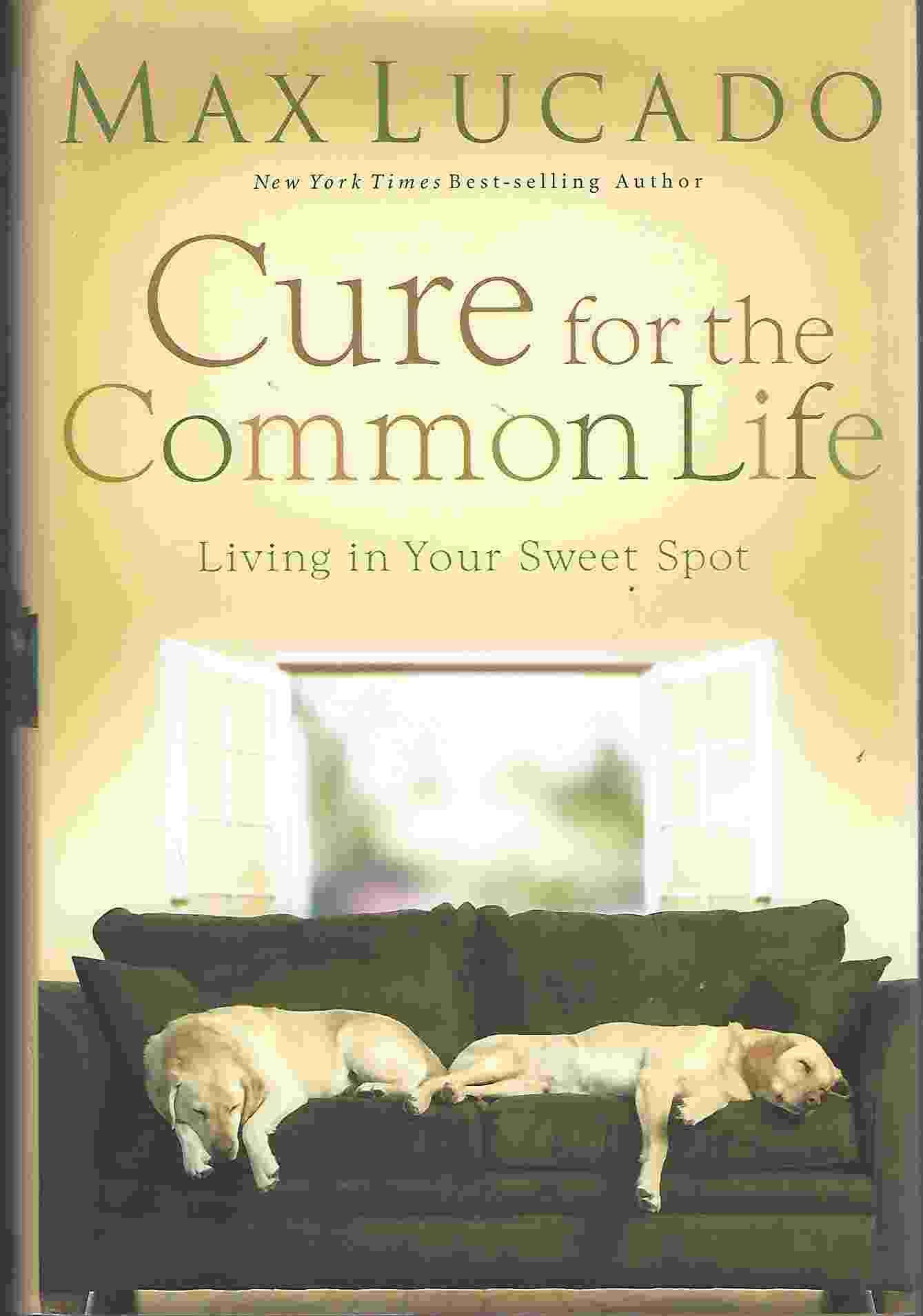 Image for CURE FOR THE COMMON LIFE Living in Your Sweet Spot
