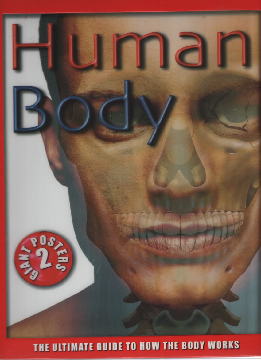 Image for HUMAN BODY The Ultimate Guide to How the Body Works