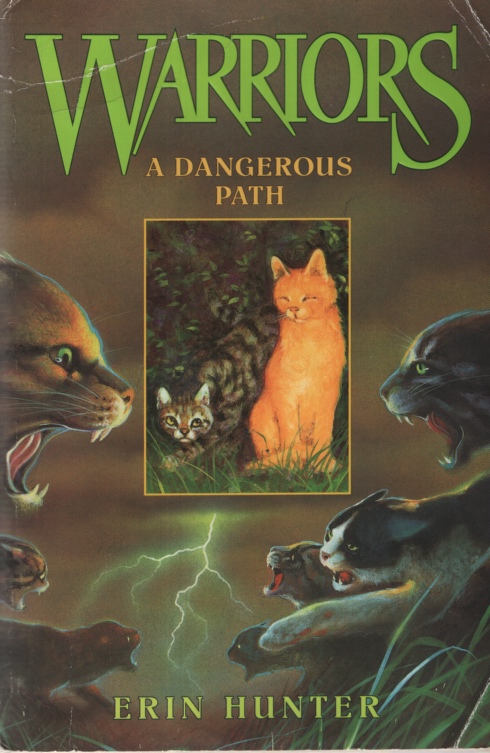 Image for WARRIORS: A DANGEROUS PATH