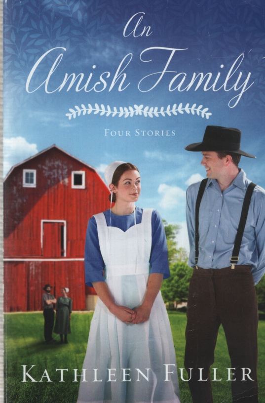 Image for AN AMISH FAMILY